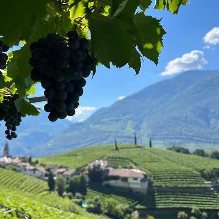 Apartamento Weingut Eberlehof Bozen Exterior foto