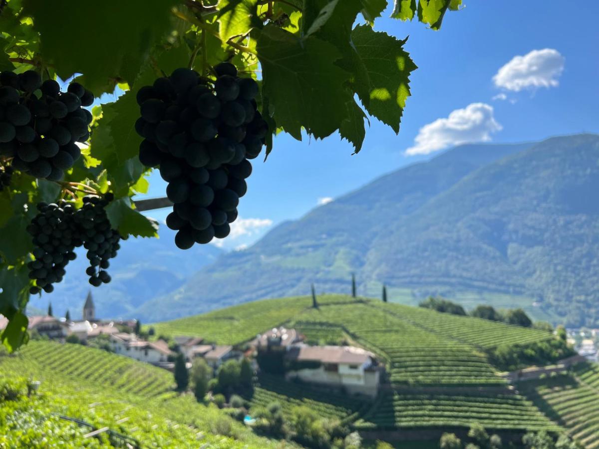 Apartamento Weingut Eberlehof Bozen Exterior foto